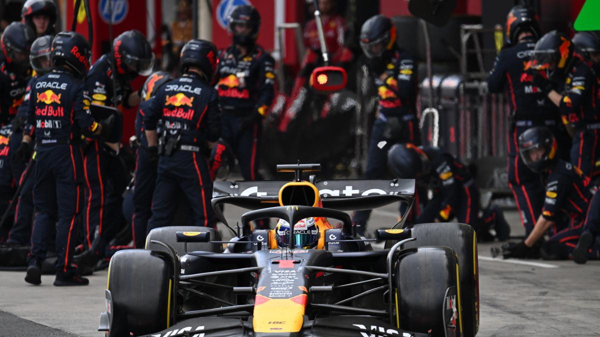 F1 Formula 1 | Leclerc ingiudicabile, Norris perfetto: le pagelle di Stampa 