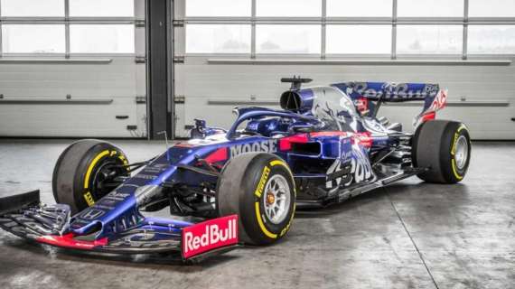 Formula 1 / La Toro Rosso STR14 originale è in vendita: 2a in Brasile nel 2019