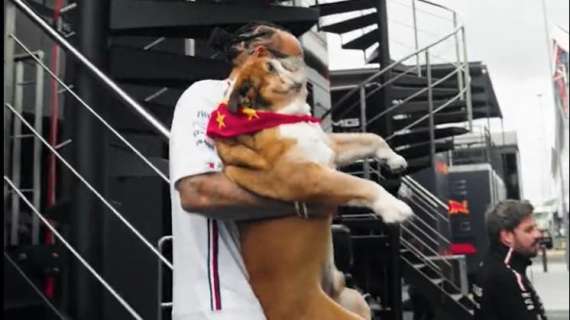 F1 | Silverstone, è tornato Roscoe! Hamilton felice, Mick raggiante