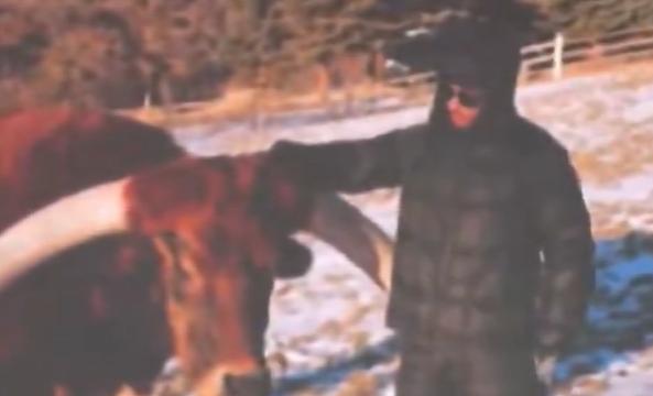 F1 | Ferrari, Hamilton show sul palco: "Ho adottato un toro e si chiama Max"