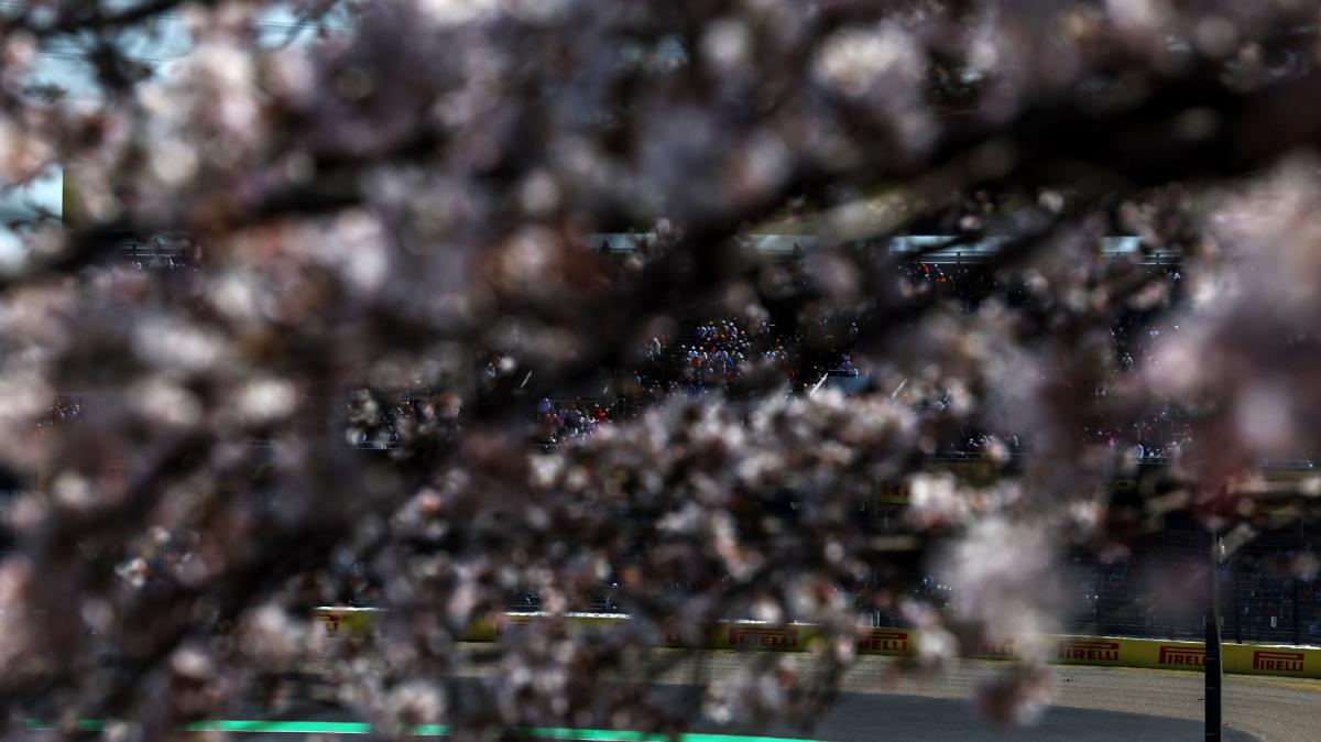 F1 | Brundle gela la FIA: Il caso Hamilton-Norris è un allarme rosso