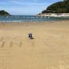 FOTO - Un enorme 'Forza Inter' appare sulla spiaggia di San Sebastian