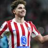 Il Real Madrid: "Offerta di 150 milioni per Julian Alvarez, no dell'Atletico"