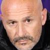 Bologna, Vincenzo Italiano ricoverato per una polmonite: la nota del club rossoblu 