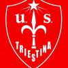 Triestina, Tom Zelenovic è il nuovo presidente. Giovedì assisterà al match con l'Inter U23