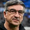Atalanta, Juric: "Stiamo ancora pagando l'estate, tra gli infortuni e la vicenda di Lookman"
