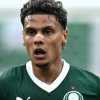 SI - Rios mette in stand by il Nottingham Forest: Benfica pronto all'offerta, c'è anche la Roma