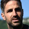 Fabregas: "L'Arsenal può fare il Doblete o perdere tutto. Fallimento? No"