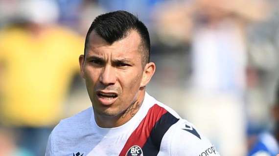 Bologna, Medel apre a Ibrahimovic: "Sarebbe un grande arrivo per il club"