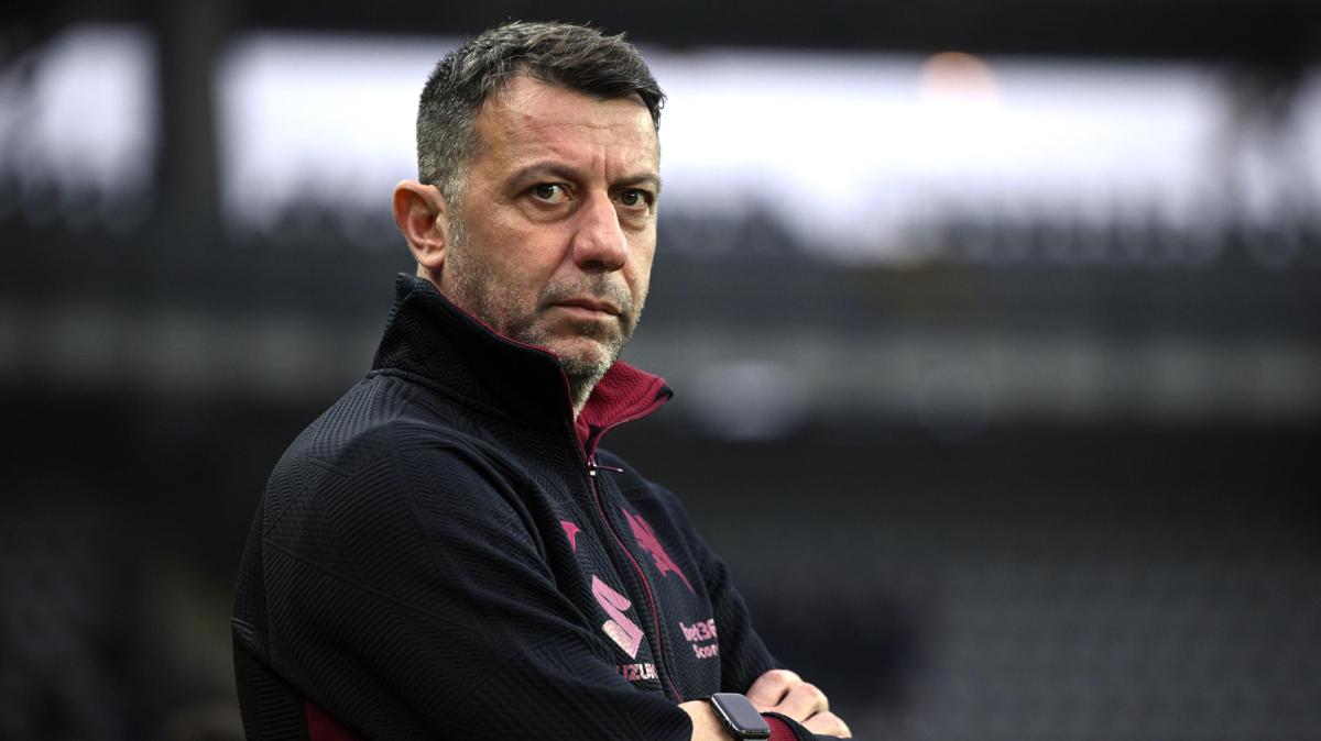 Qui Torino - D'Aversa recupera Zapata, ma non cambia la coppia d'attacco 