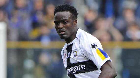 UFFICIALE - Mariga al Parma: formula confermata