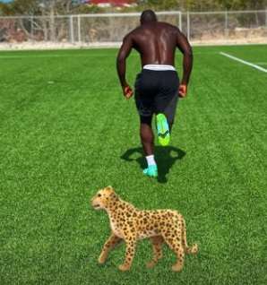 Lukaku continua l'allenamento in solitaria. E sui social si disegna come un ghepardo