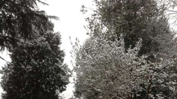 FOTO - Gargano se la ride: "Che bello, c'è la neve!"