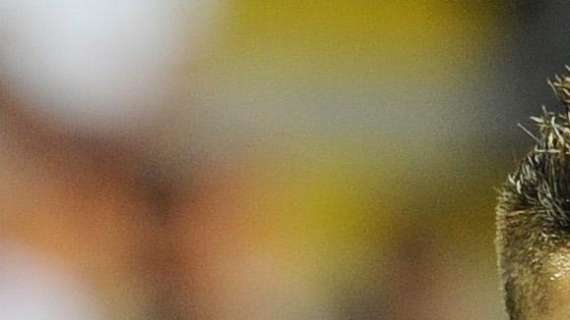 Compagnoni: "Icardi è sfrontato, con lui Mazzarri..."
