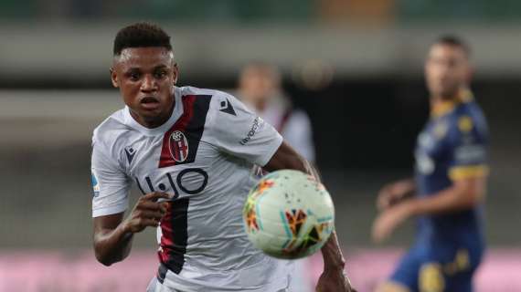 Qui Bologna - Differenziato per Schouten, lesione di primo grado per Kingsley