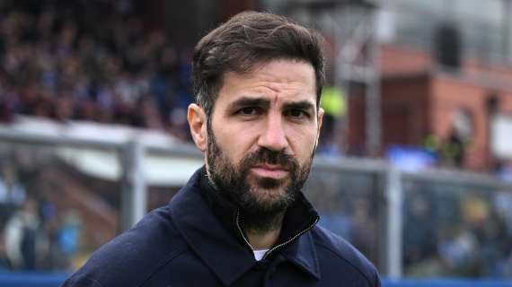 Como, Fabregas in conferenza: "Inter troppo forte, non so perché abbia perso lo scudetto. Napoli incredibile"