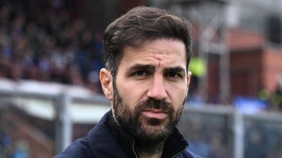 Fabregas succede a Marotta: va all'allenatore del Como il premio Rosa Camuna 2025