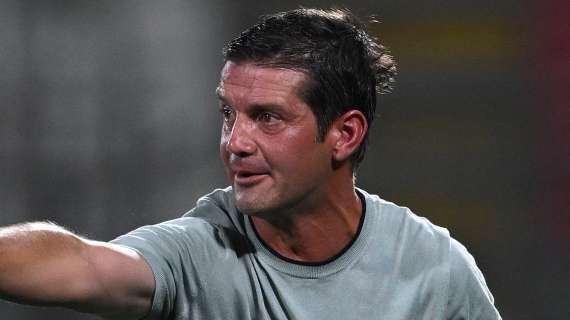 Difensore e mediano utili, ma il pallino è in mano a Chivu: dove non arriverà il mercato conterà l'organizzazione