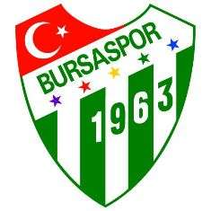 Voci turche: amichevole estiva Inter-Bursaspor?