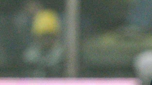 Sky - Pure il Genoa chiede Duncan. Ora su Antonelli...