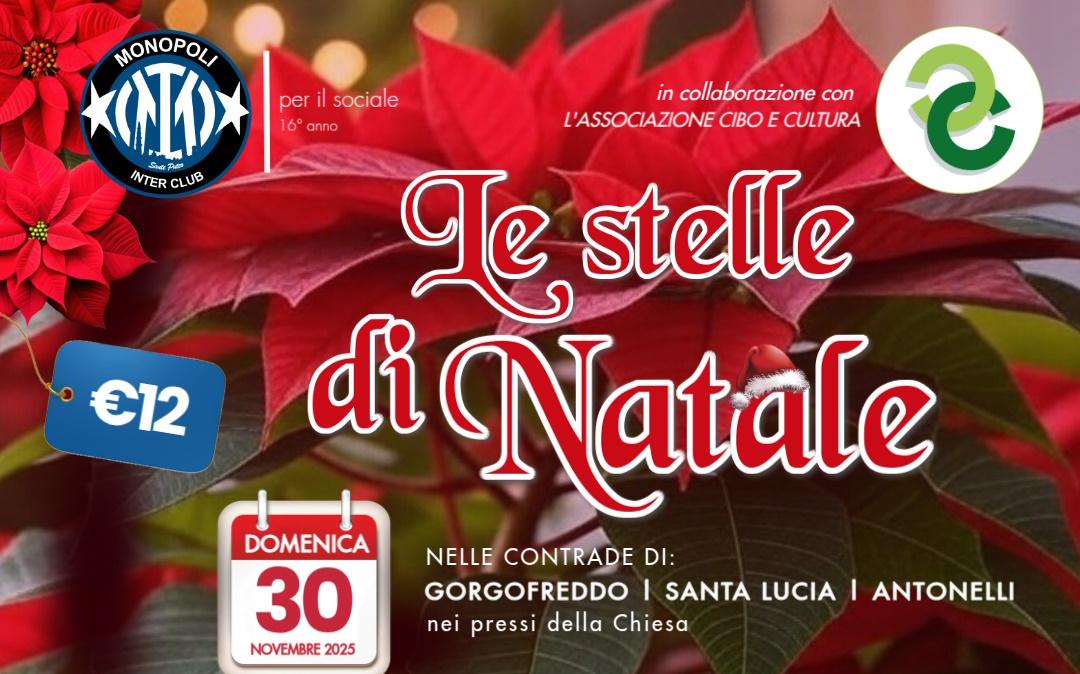 Interismo e beneficenza: a Monopoli tornano le Stelle di Natale