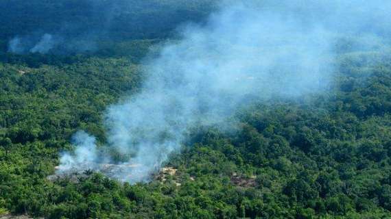 L'Amazzonia brucia, il messaggio dell'Inter: "Il calcio è vita, la natura è vita. We #PrayForAmazonia"