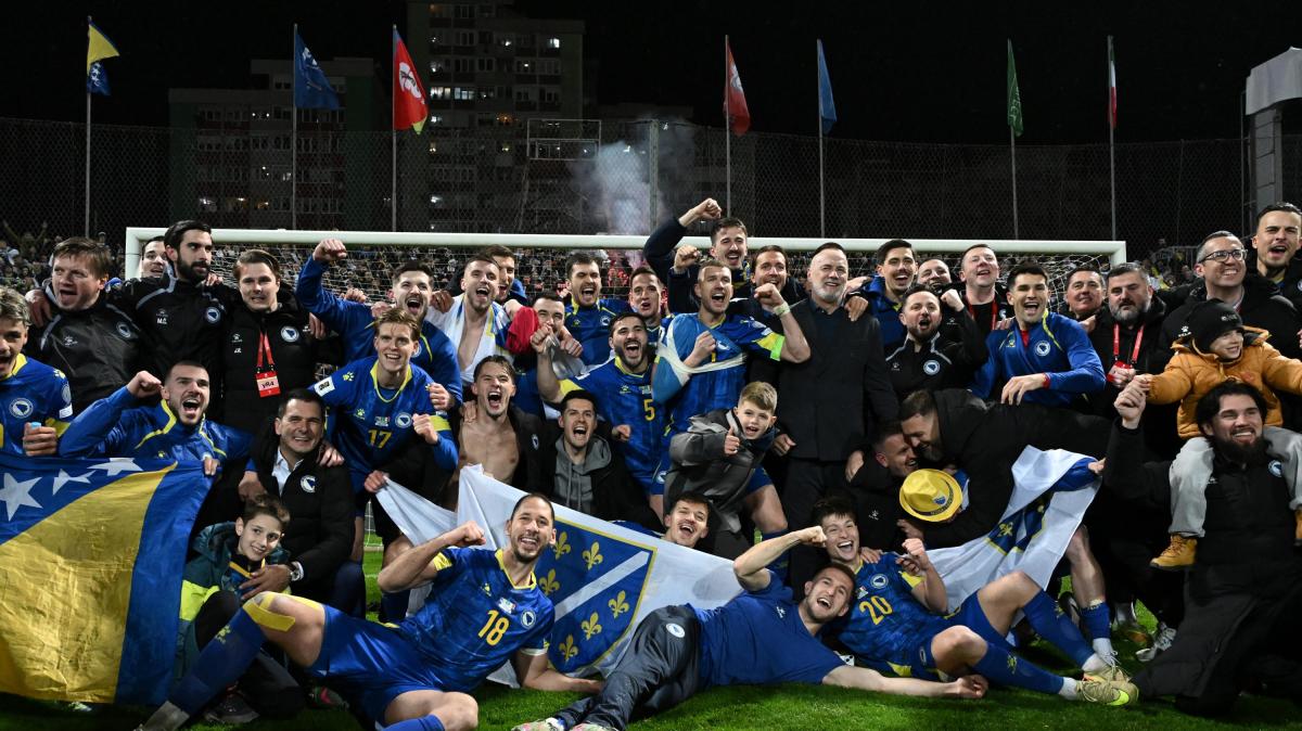 Volevano gli Azzurri, ci sarà la Bosnia: tanti italiani allo stadio a Toronto