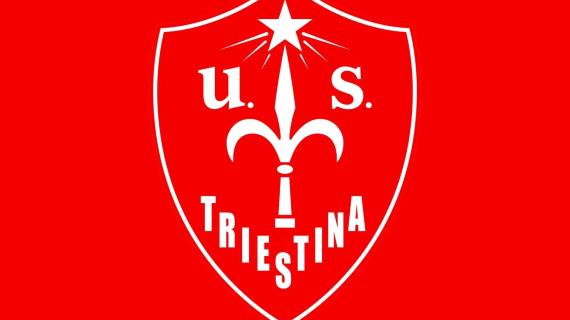 Triestina, Tom Zelenovic è il nuovo presidente. Giovedì assisterà al match con l'Inter U23