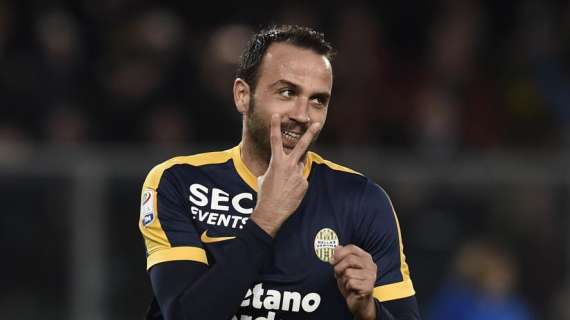 TS - Torino, fari su Pazzini come vice Belotti