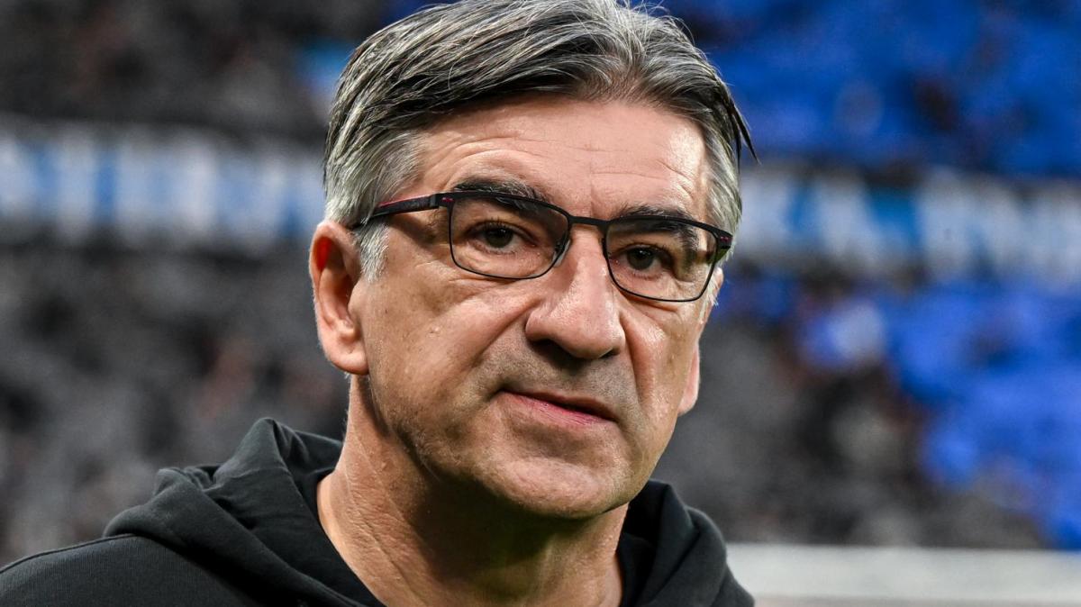 Atalanta, Juric: "Stiamo ancora pagando l'estate, tra gli infortuni e la vicenda di Lookman"