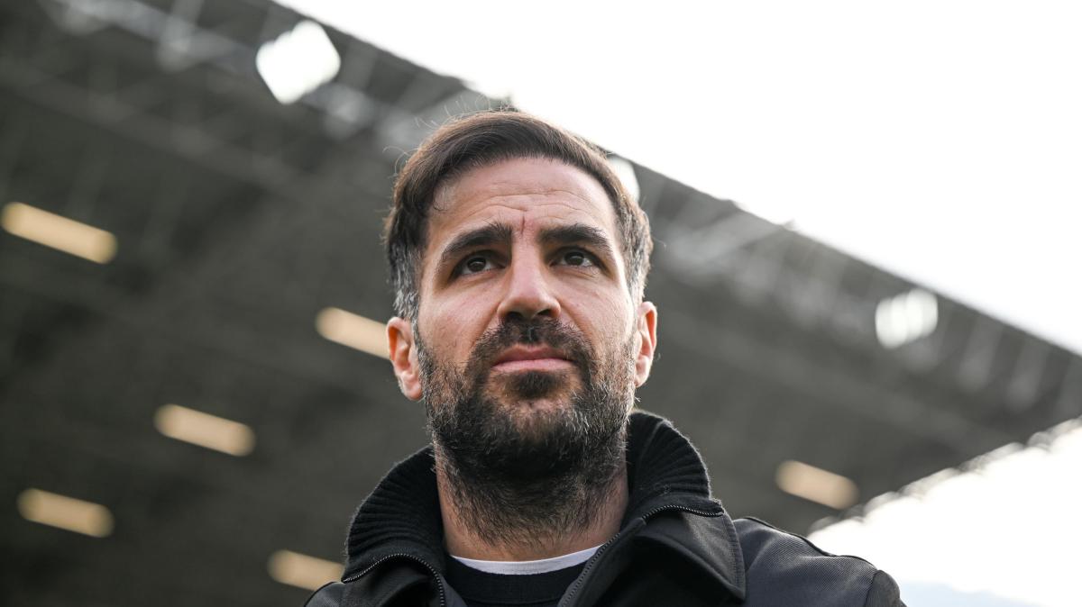 Como, Fabregas: "Col Lecce tre punti pesanti e continuità di prestazione. Morata e Kempf, ecco come stanno"