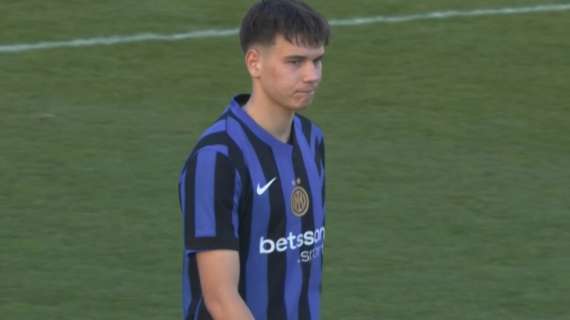 Trasferimento Topalovic: nessuna irregolarità dell'Inter e del centrocampista, sanzione per l'agente Cataldo. La nota della FIGC 