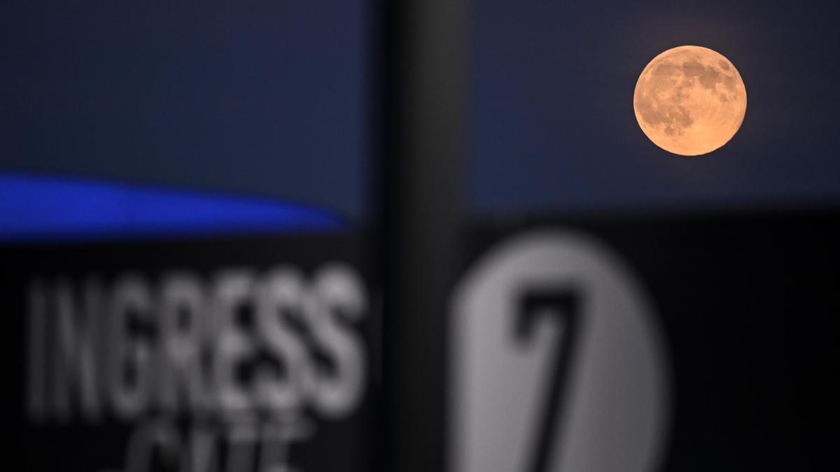 Albini, console onorario del Kazakistan a Milano: "Kairat a San Siro un sogno. Inter modello dentro e fuori dal campo"