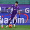 Fiorentina-Cagliari, le probabili formazioni: Solomon-Harrison ballottaggio aperto,...