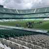 Conference League, ecco dove seguire Real Betis-Fiorentina