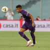 Immagine news Ex viola n.2