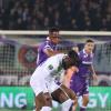 Dall'Inghilterra: Arokodare fuori dal ritiro dei Wolves, la Fiorentina attende