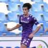 Immagine news Ex viola n.3