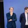 Partnership Fiorentina- ASD Boreale, parla Ferrari: "Il Viola Park è una casa dove crescere"