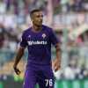 Immagine news Ex viola n.1