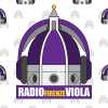 Immagine news Radio FirenzeViola n.1