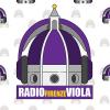 Immagine news Radio FirenzeViola n.2