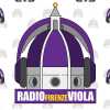 Immagine news Radio FirenzeViola n.1