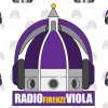 Immagine news Radio FirenzeViola n.1