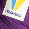 Primavera, domani la finale. Viola al completo, Parma con uno squalificato