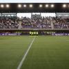 Immagine news Fiorentina Femminile n.1