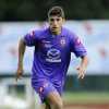 Immagine news Ex viola n.1