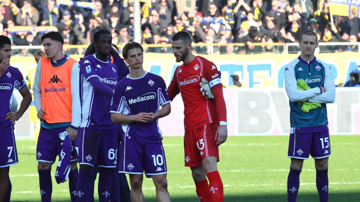 Immagine strip Primo Piano n.3