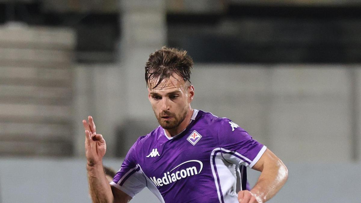 Immagine strip Primo Piano n.2