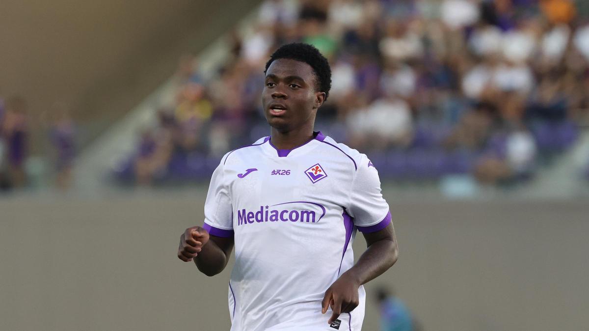 Fiorentina-Frosinone, le probabili formazioni: Oulai favorito a Fagioli, in difesa cambiano i laterali